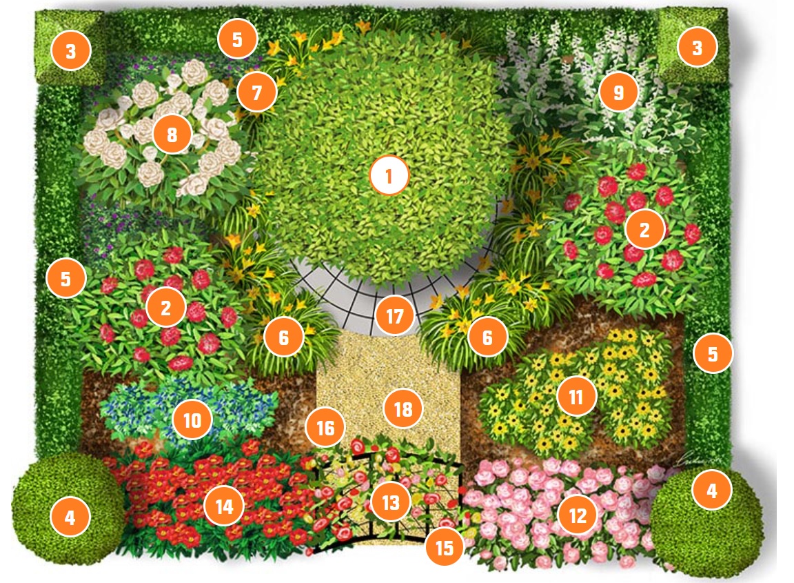 Ágyásterv a parasztkert növényeivel