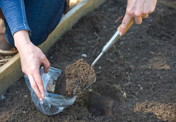 Mintavétel a földből