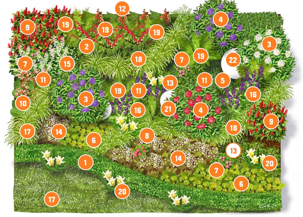 Mit ültessek árnyékos helyre? Cserje árnyékos helyre, ültetés árnyékos helyen