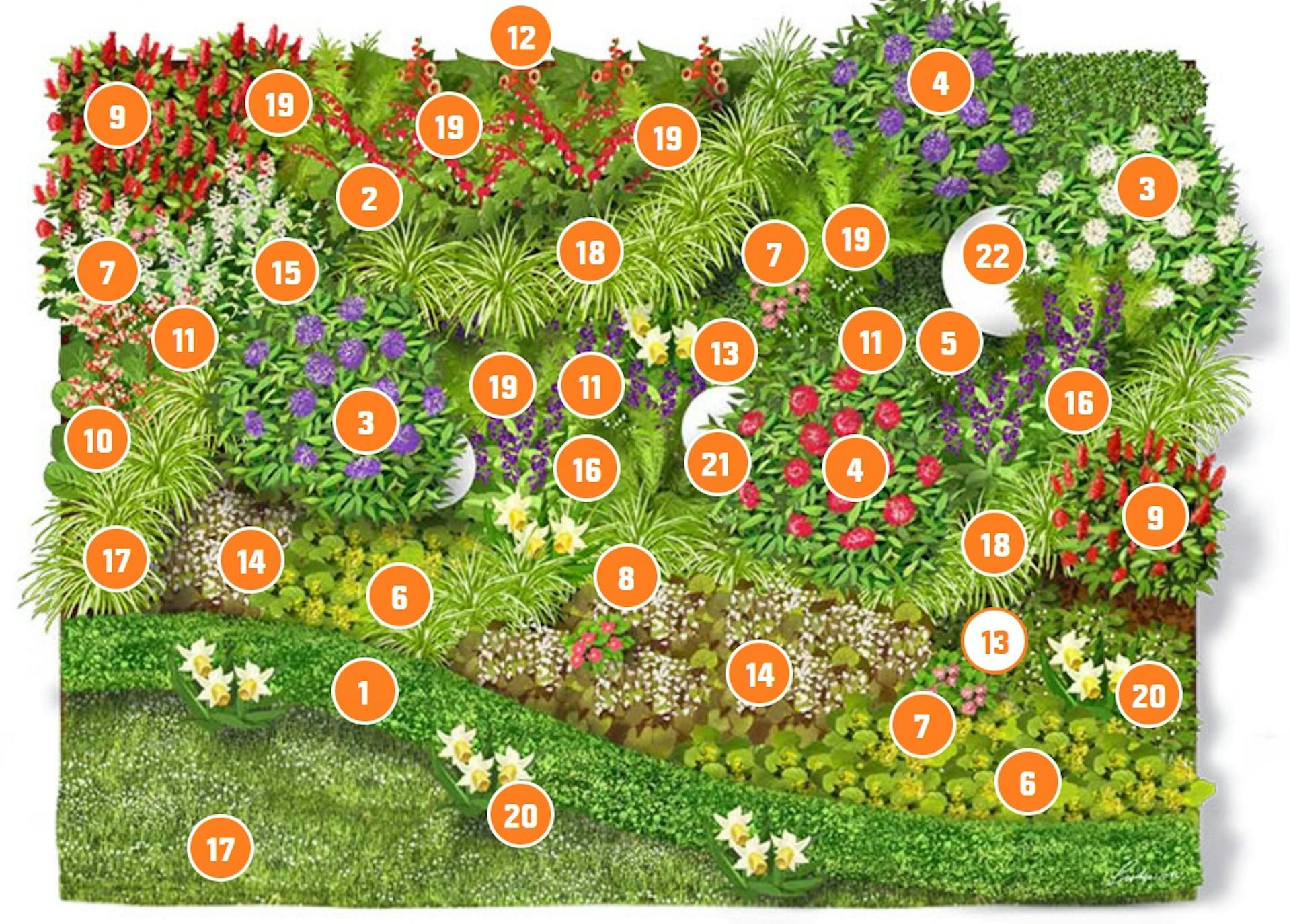 Mit ültessek árnyékos helyre? Cserje árnyékos helyre, ültetés árnyékos helyen