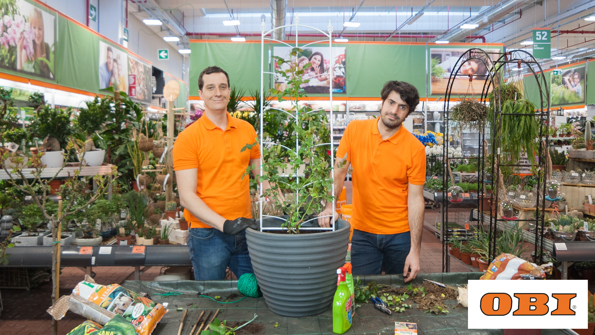 prendersi cura delle rose