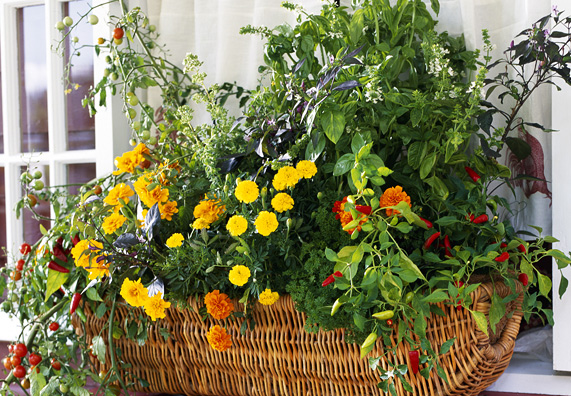 fiori gialli e arancioni