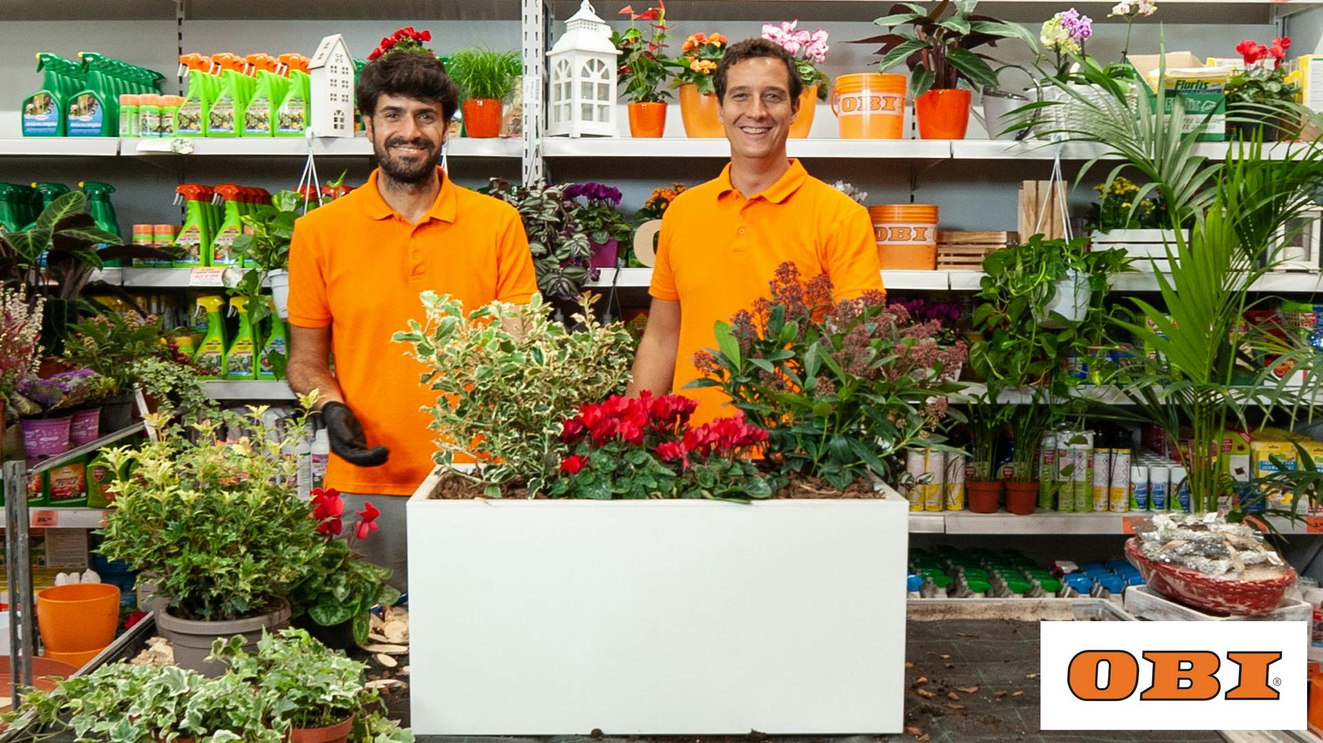 composizione natalaizia