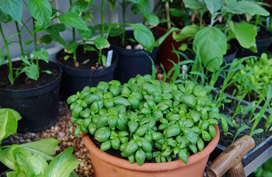 5 Piccoli Secchielli In Metallo, Vasi Decorativi Per Piante, Bomboniere - Foto 3