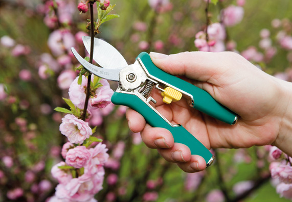 Forbici taglio rotondo