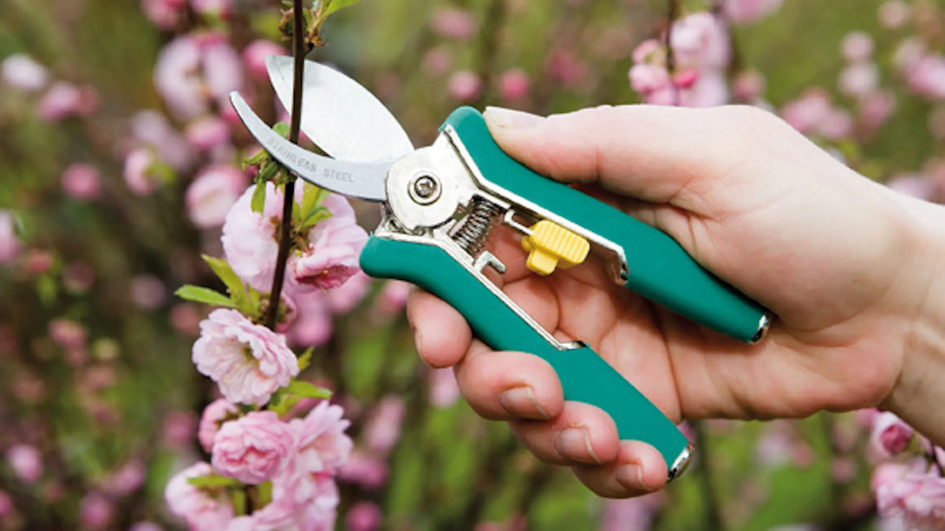 Forbici taglio rotondo