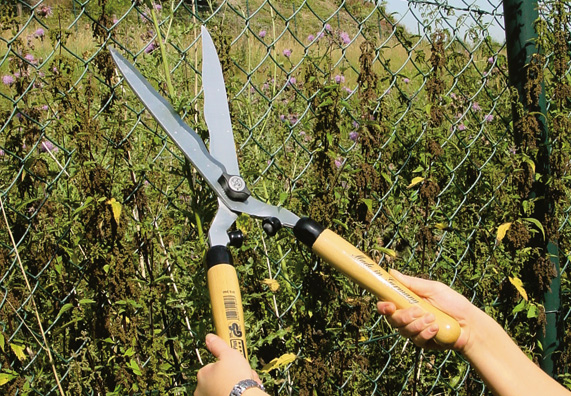 Tagliasiepi seghettato