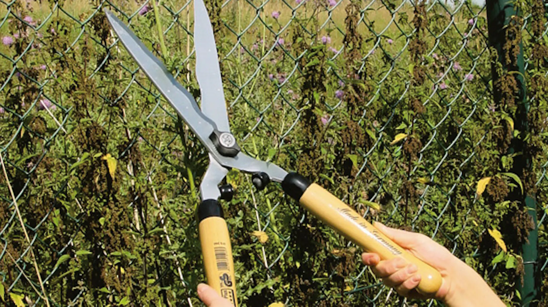 Tagliasiepi seghettato