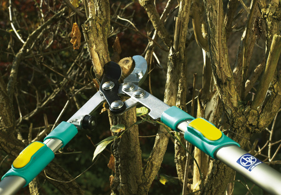 Troncarami telescopico