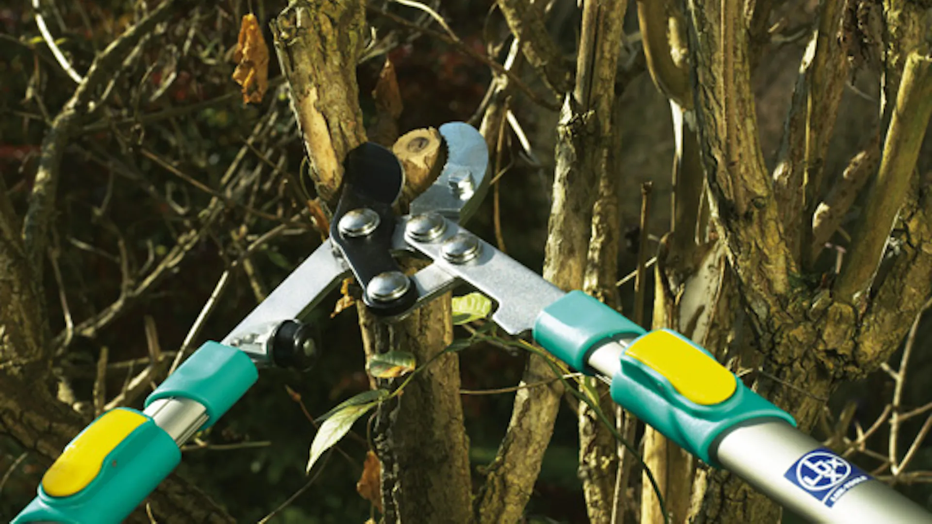 Troncarami telescopico