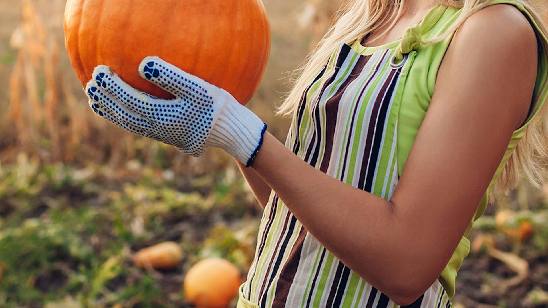 ragazza con zucca in mano