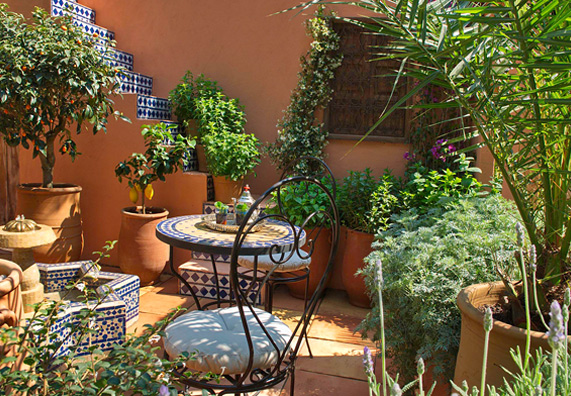 terrazzo con piante in vaso