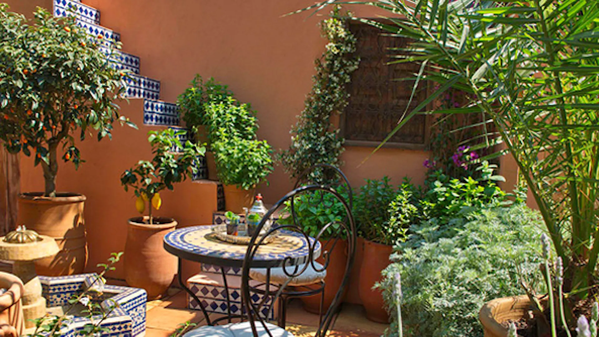 terrazzo con piante in vaso