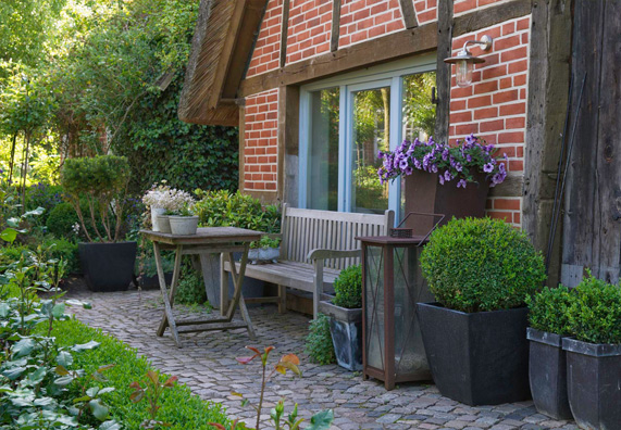 piante in vaso in giardino ombreggiato