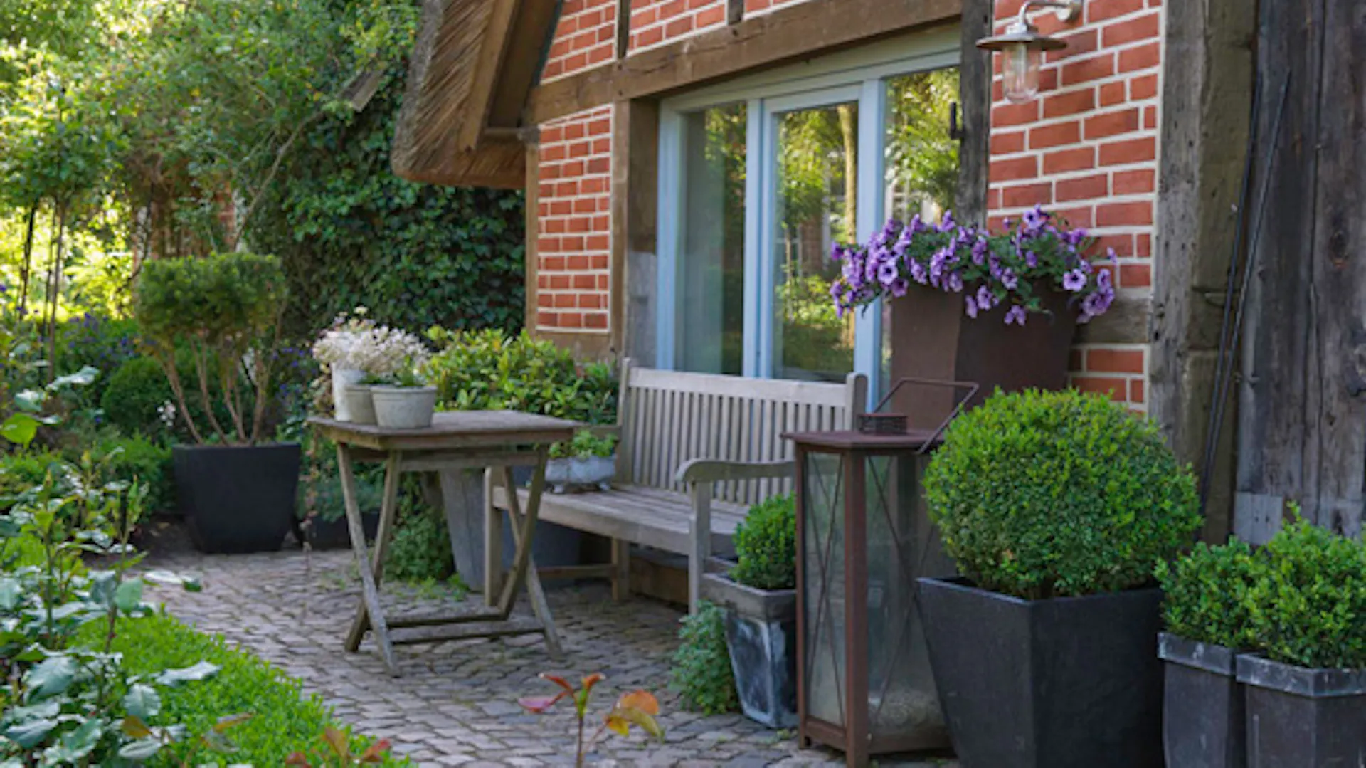 piante in vaso in giardino ombreggiato