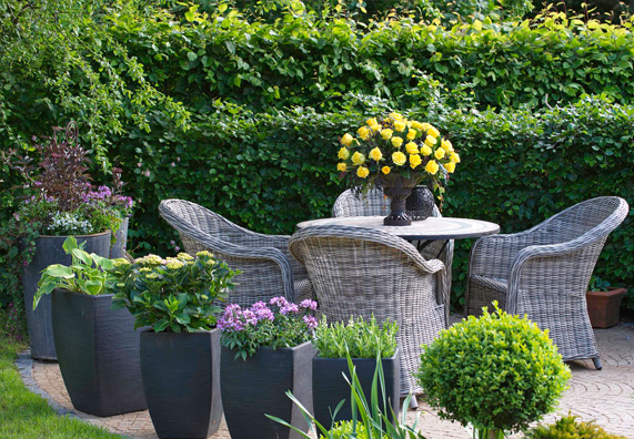 piante in vaso in area salotto in giardino