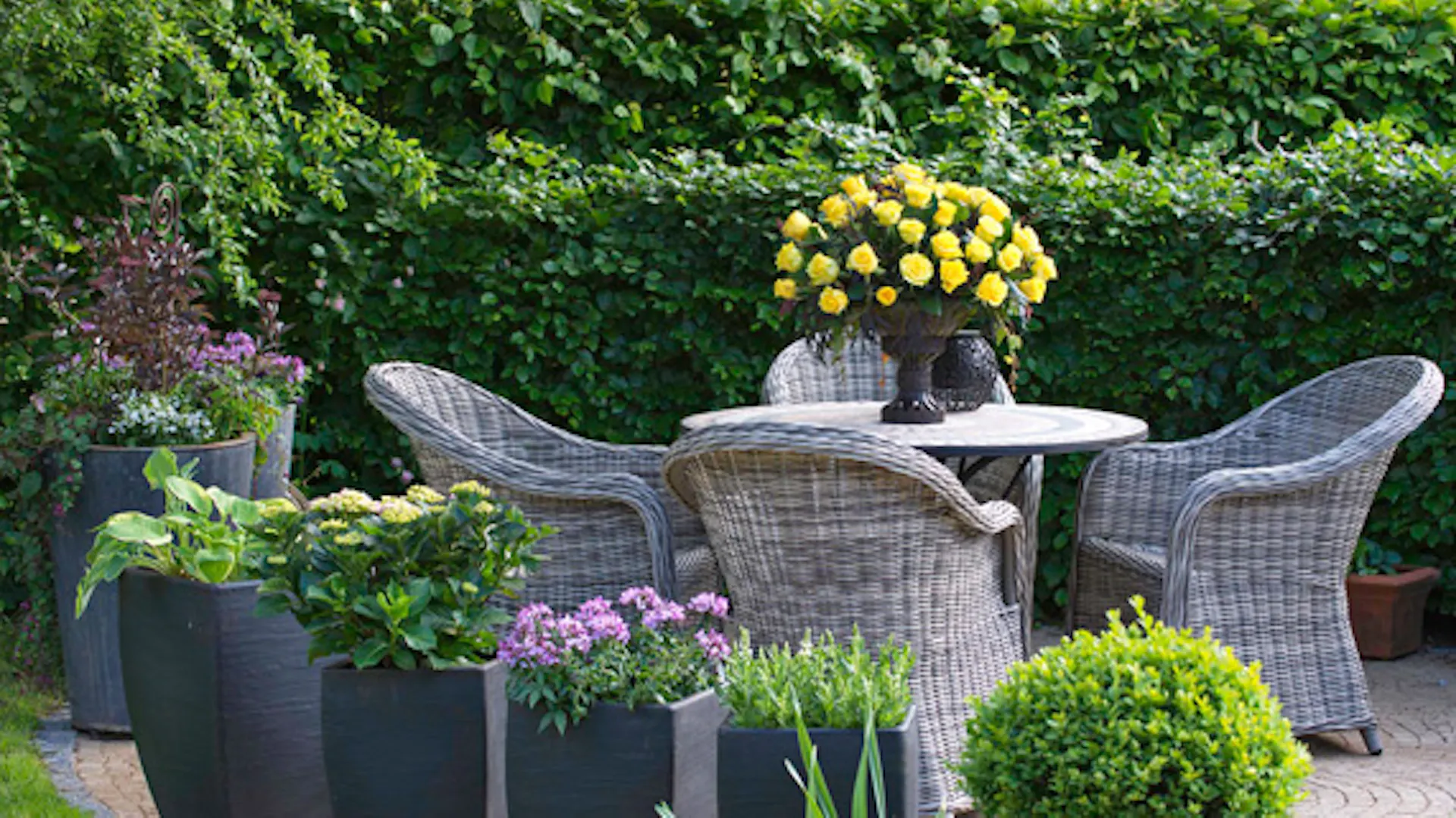 piante in vaso in area salotto in giardino