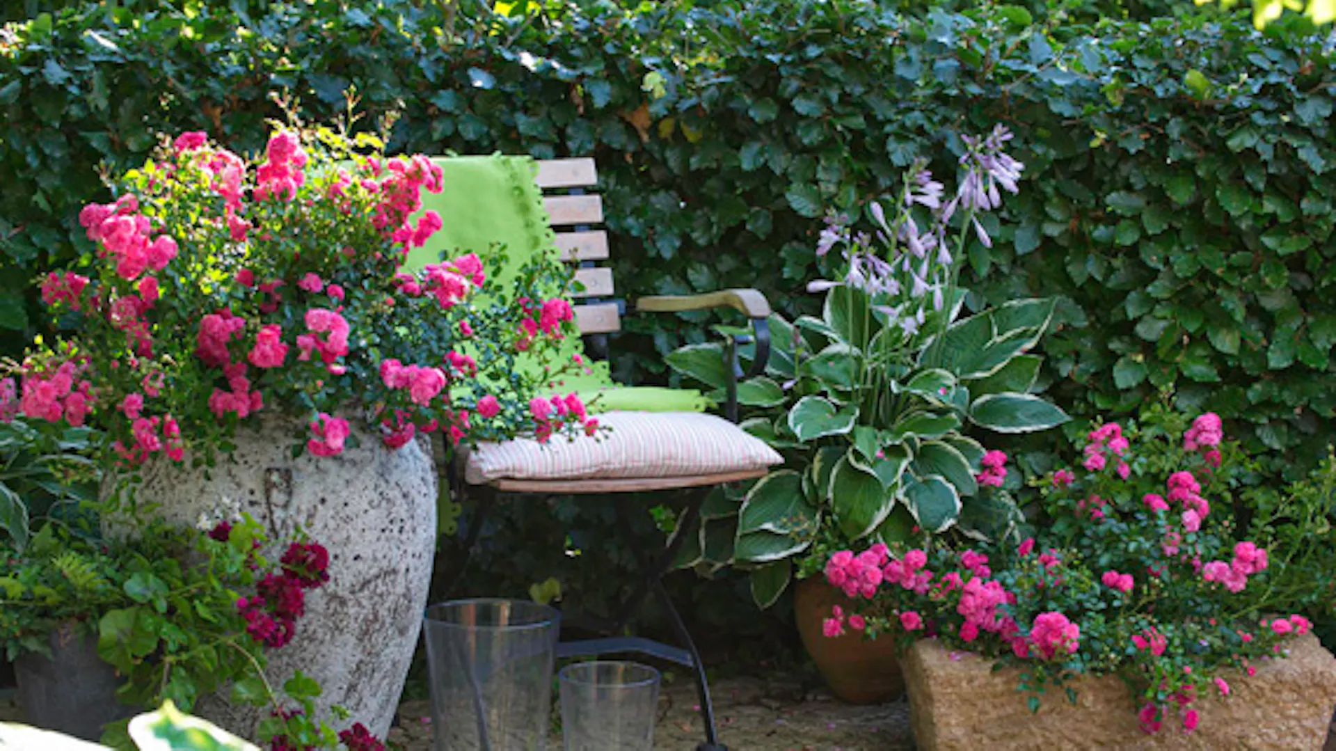 angolo in giardino con piante in vaso