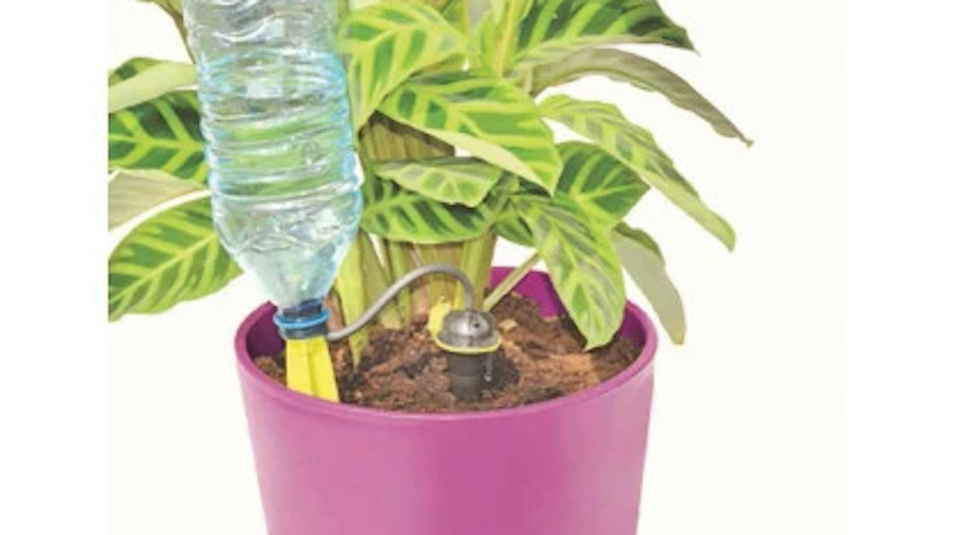 utilizzo gocciolatore in vaso