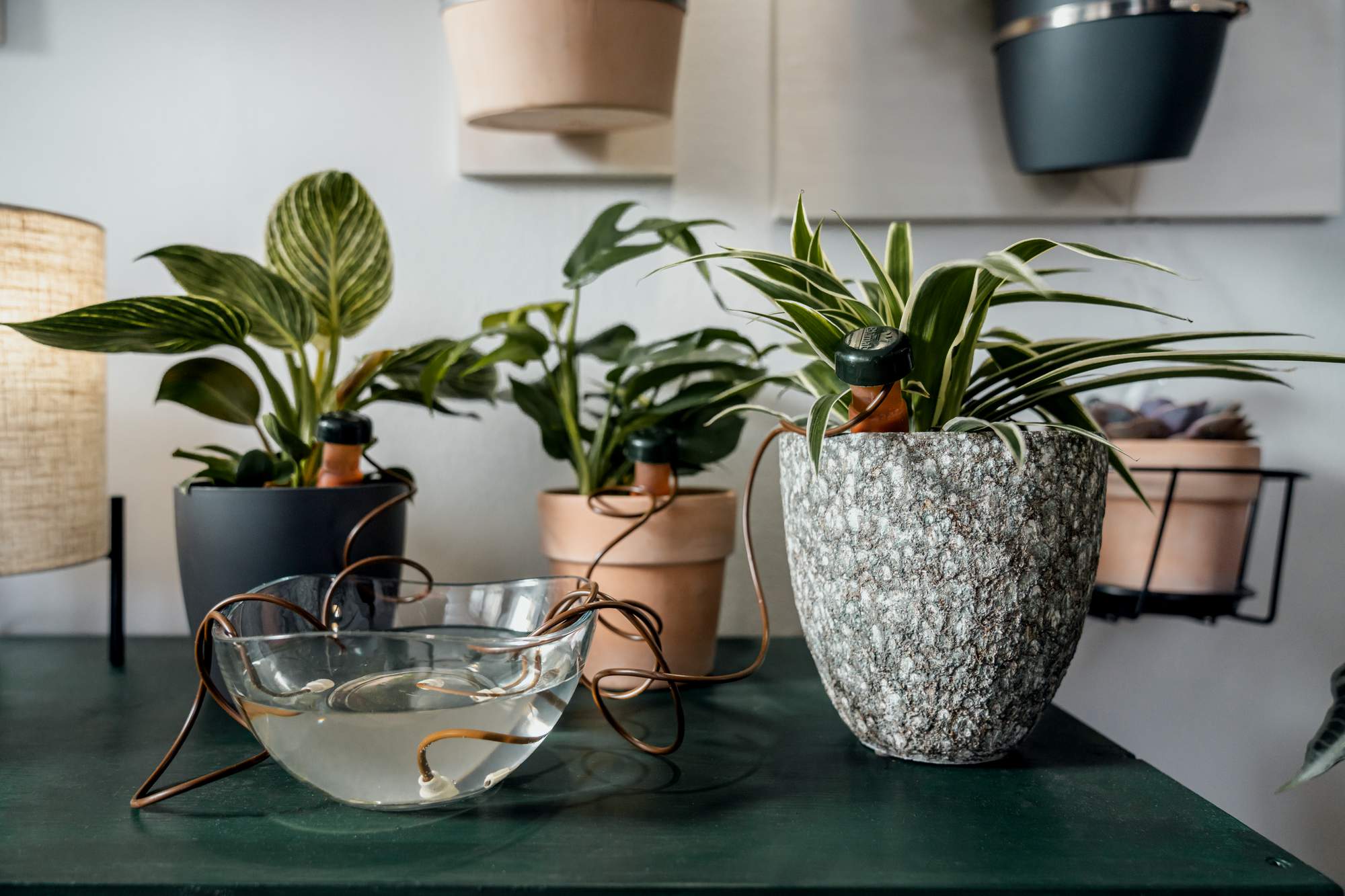 vasi irrigati tramite irrigazione a goccia