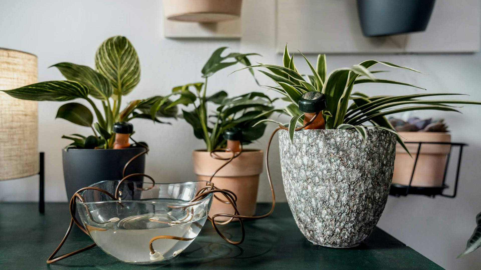 vasi irrigati tramite irrigazione a goccia