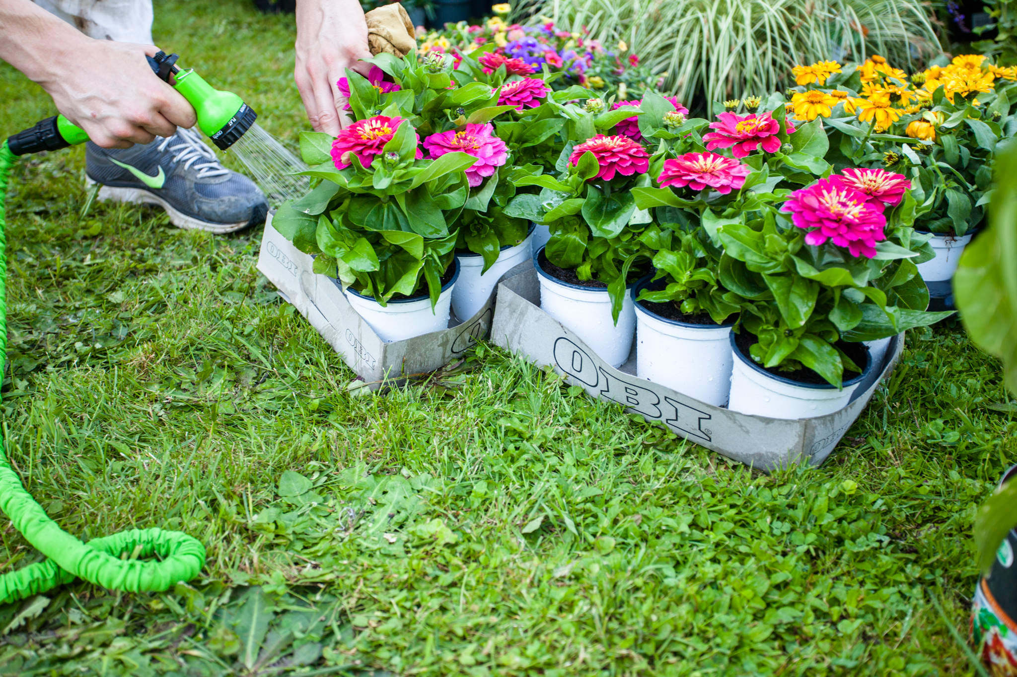 uomo bagna le piante da esterno in giradino