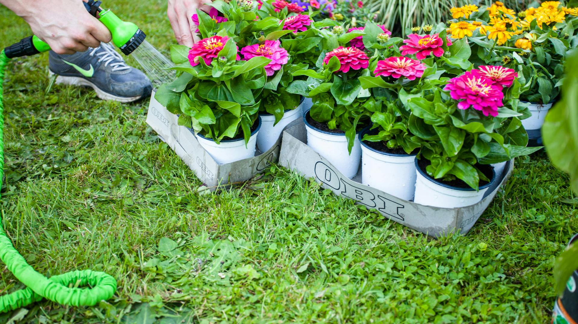 uomo bagna le piante da esterno in giradino