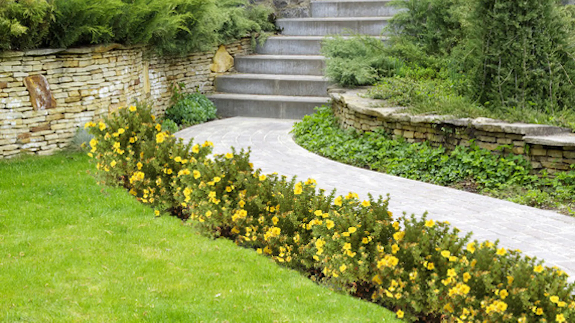 mini siepe lungo vialetto