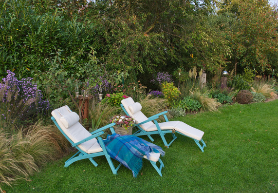 Centro Ricerca Piante Officinali Veneto: COLTIVIAMO PER VOI: PIANTE - Foto 10