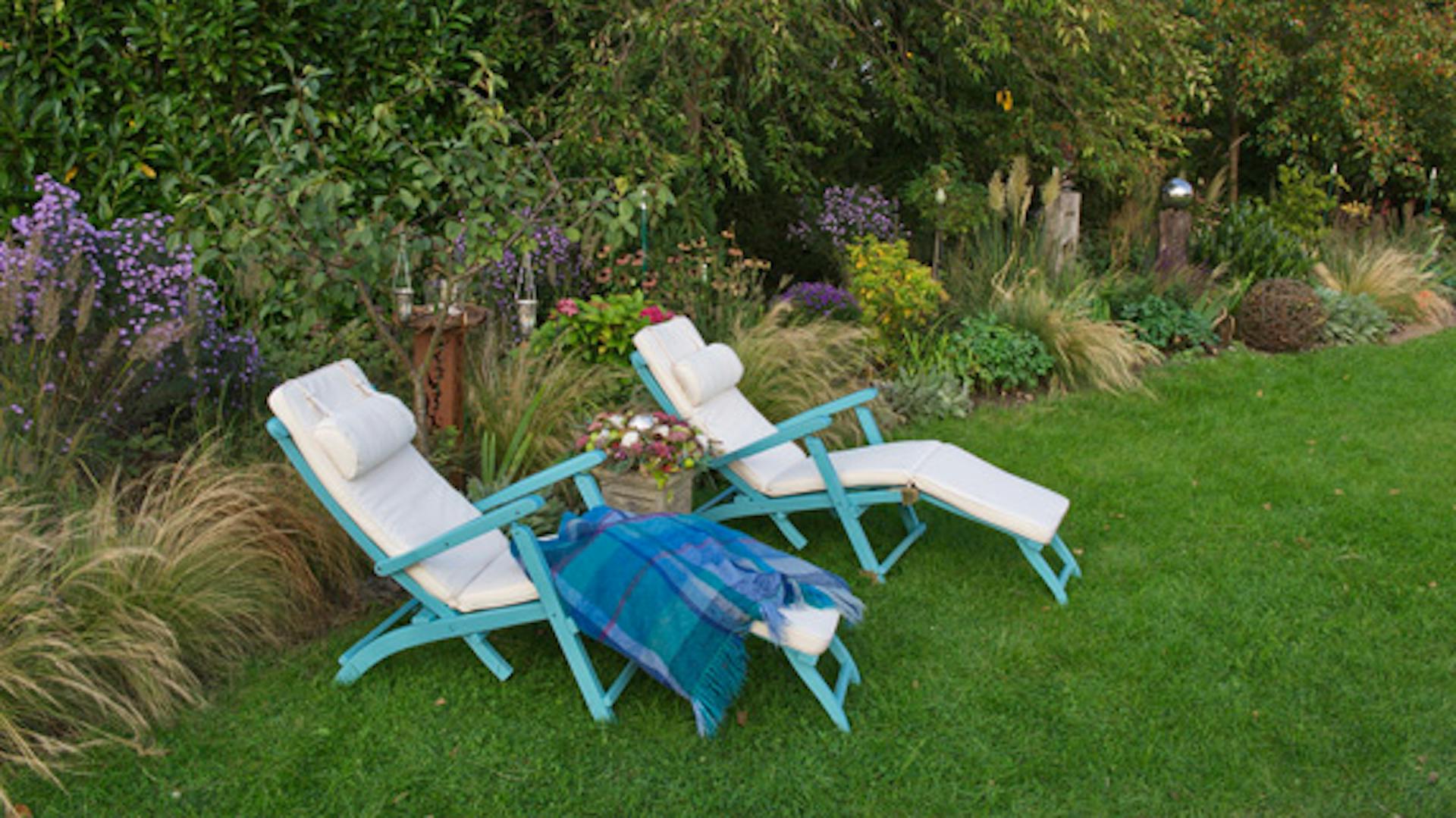 Centro Ricerca Piante Officinali Veneto: COLTIVIAMO PER VOI: PIANTE - Foto 10