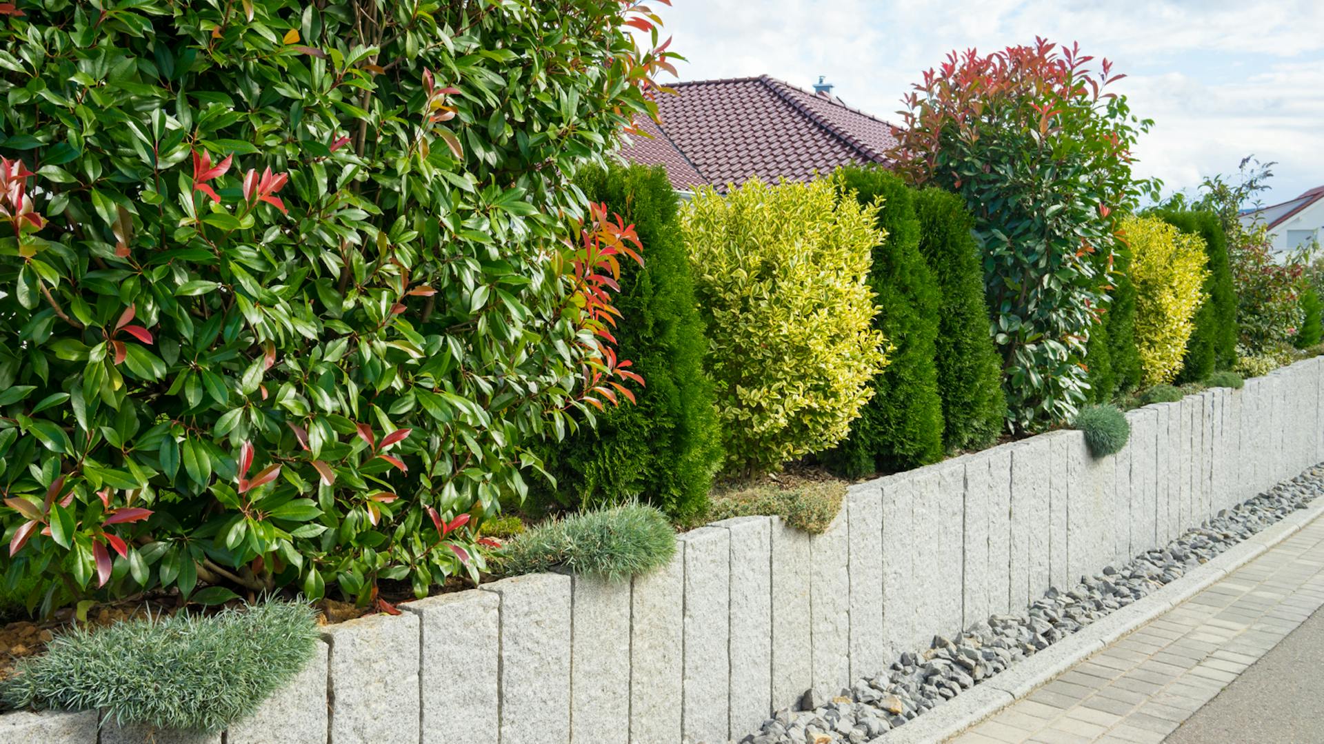 Hellgraue Rechteck-Palisade als Einfassung