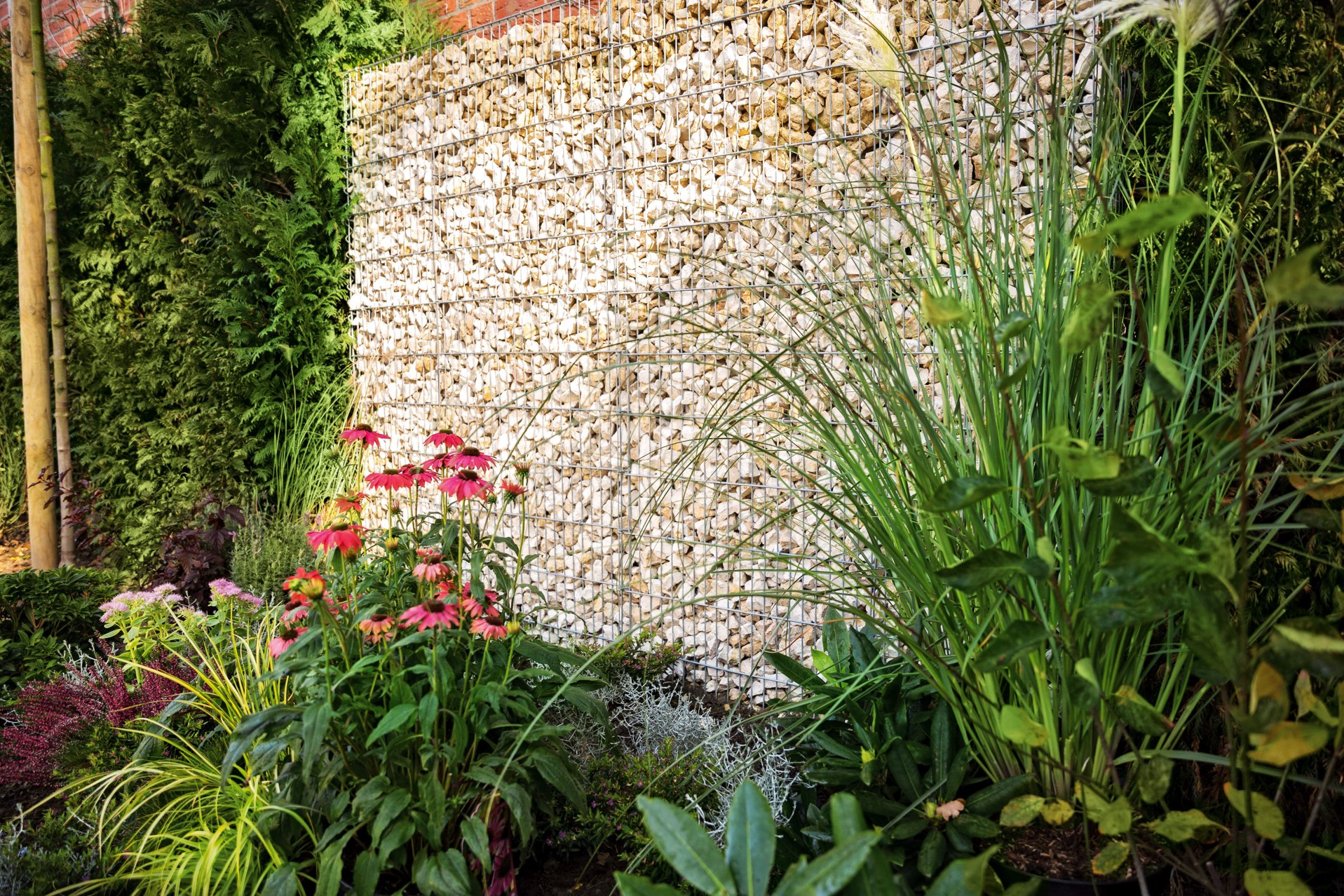 Gabione mit Pflanzen als Sichtschutz im Garten