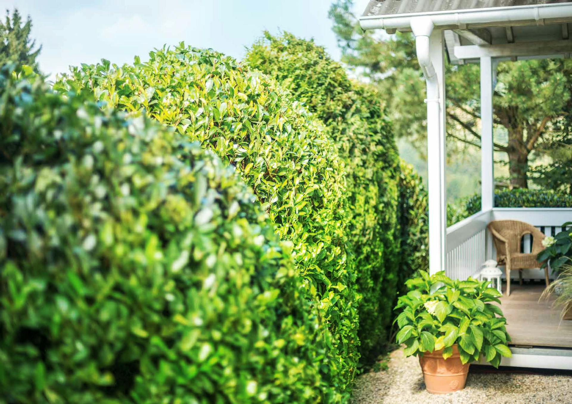 Hecke planen mit OBI