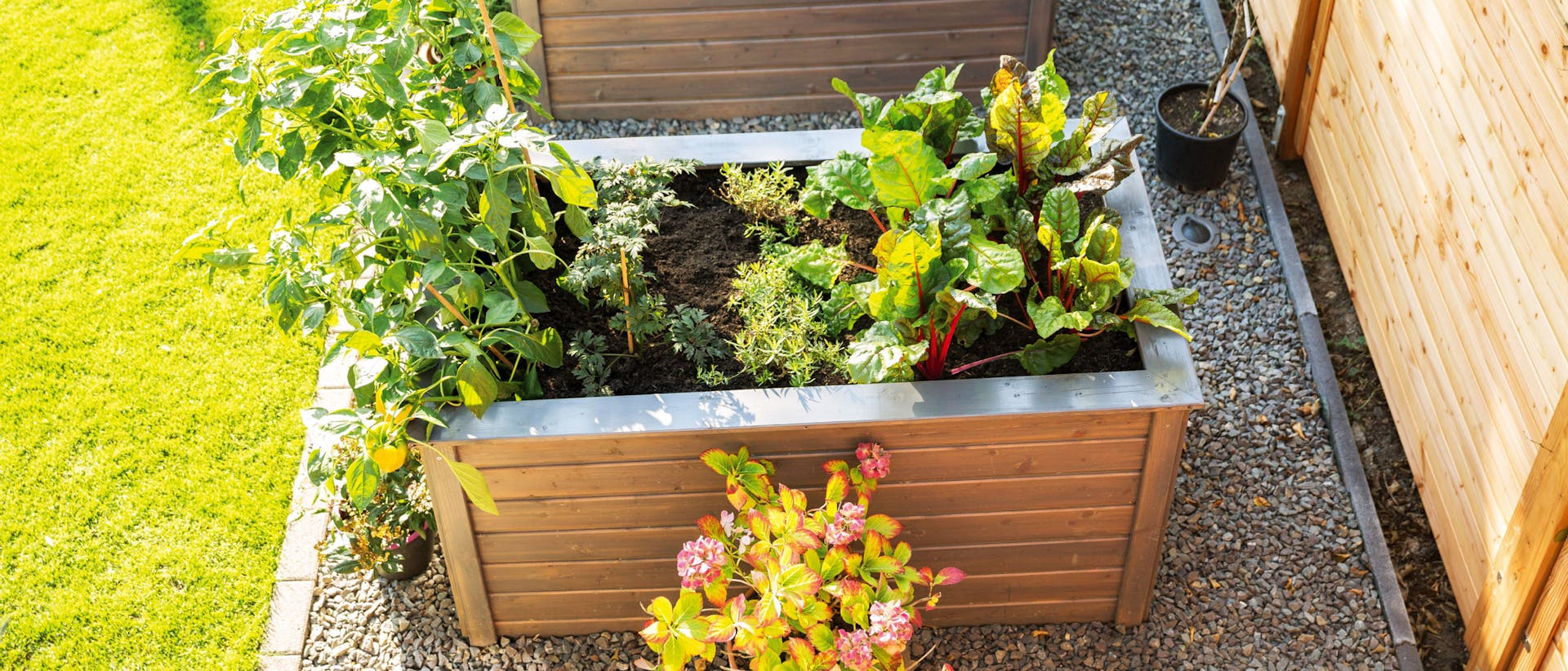 Hochbeet aus Holz bepflanzt mit Kräutern und Gemüse