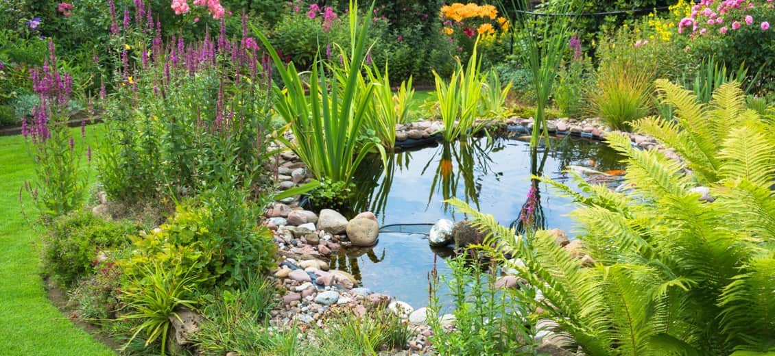 Gartenteich anlegen OBI Gartenplaner