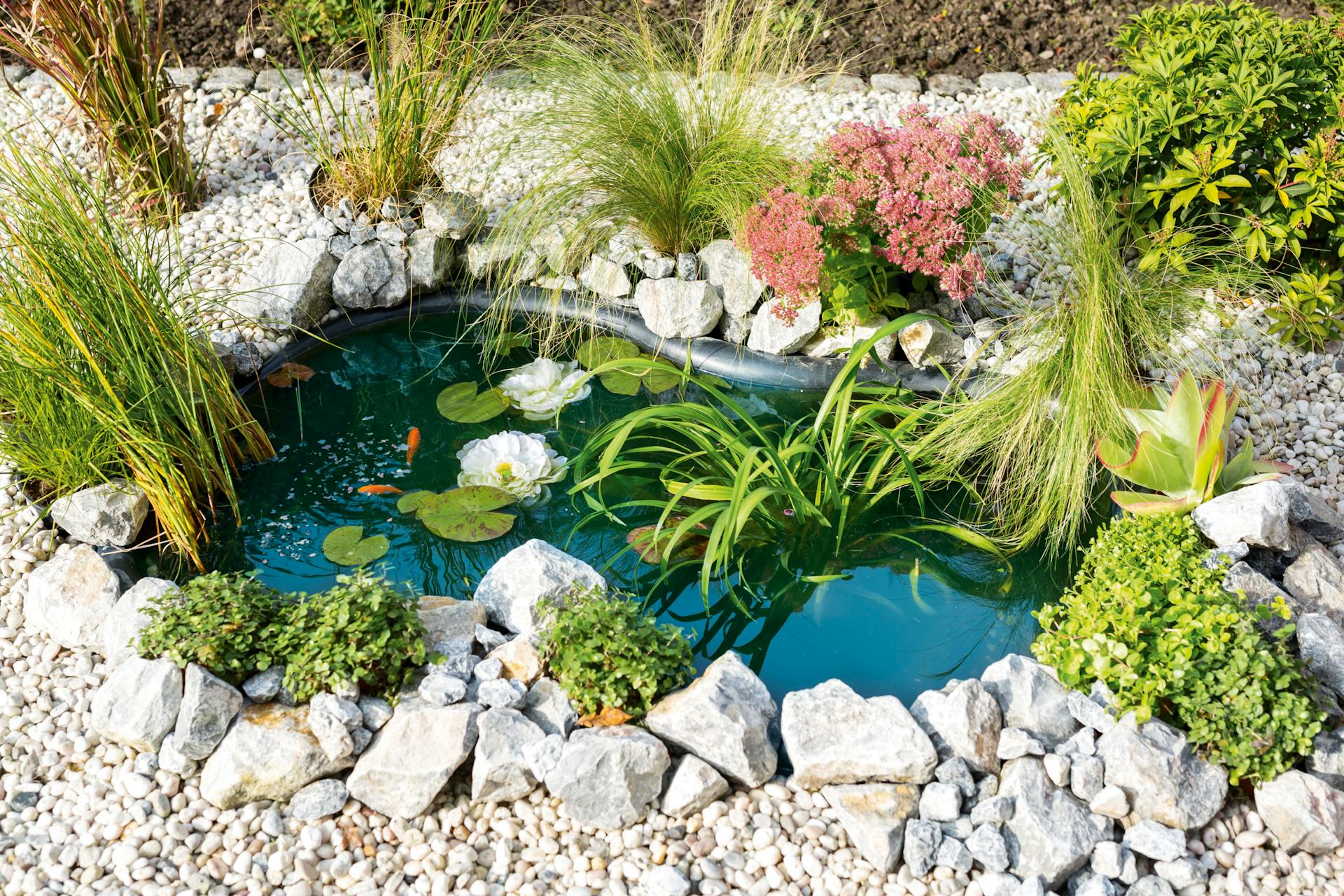 Teich planen mit OBI