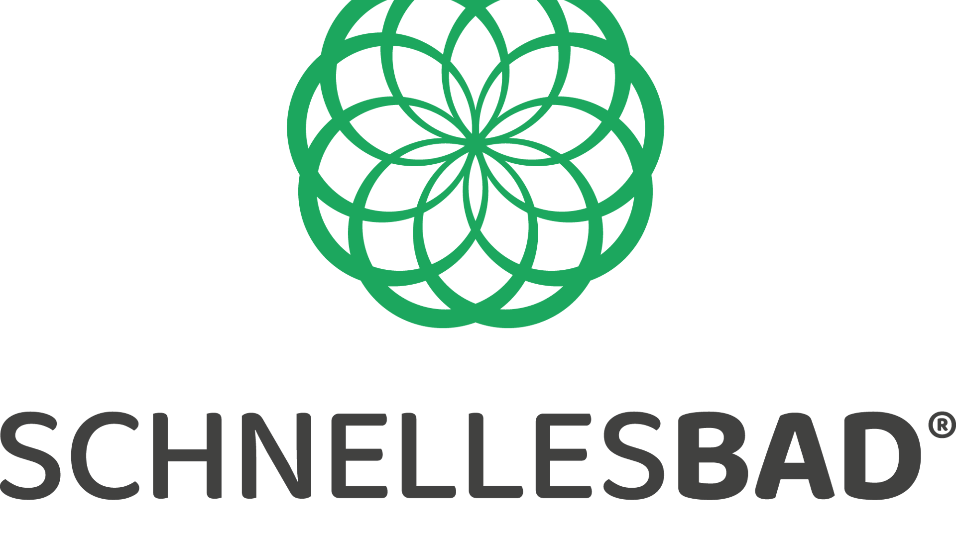 schnelles bad logo