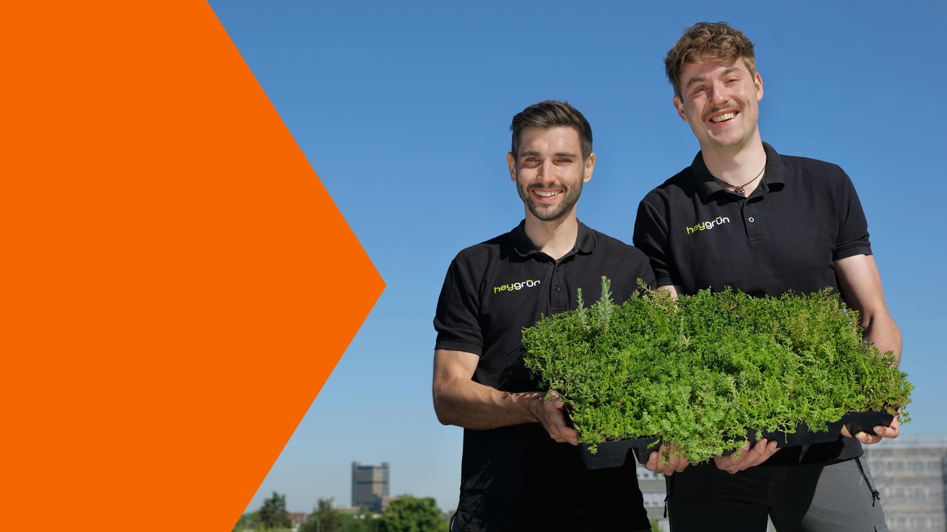 Mitarbeiter zur Dachbegruenung