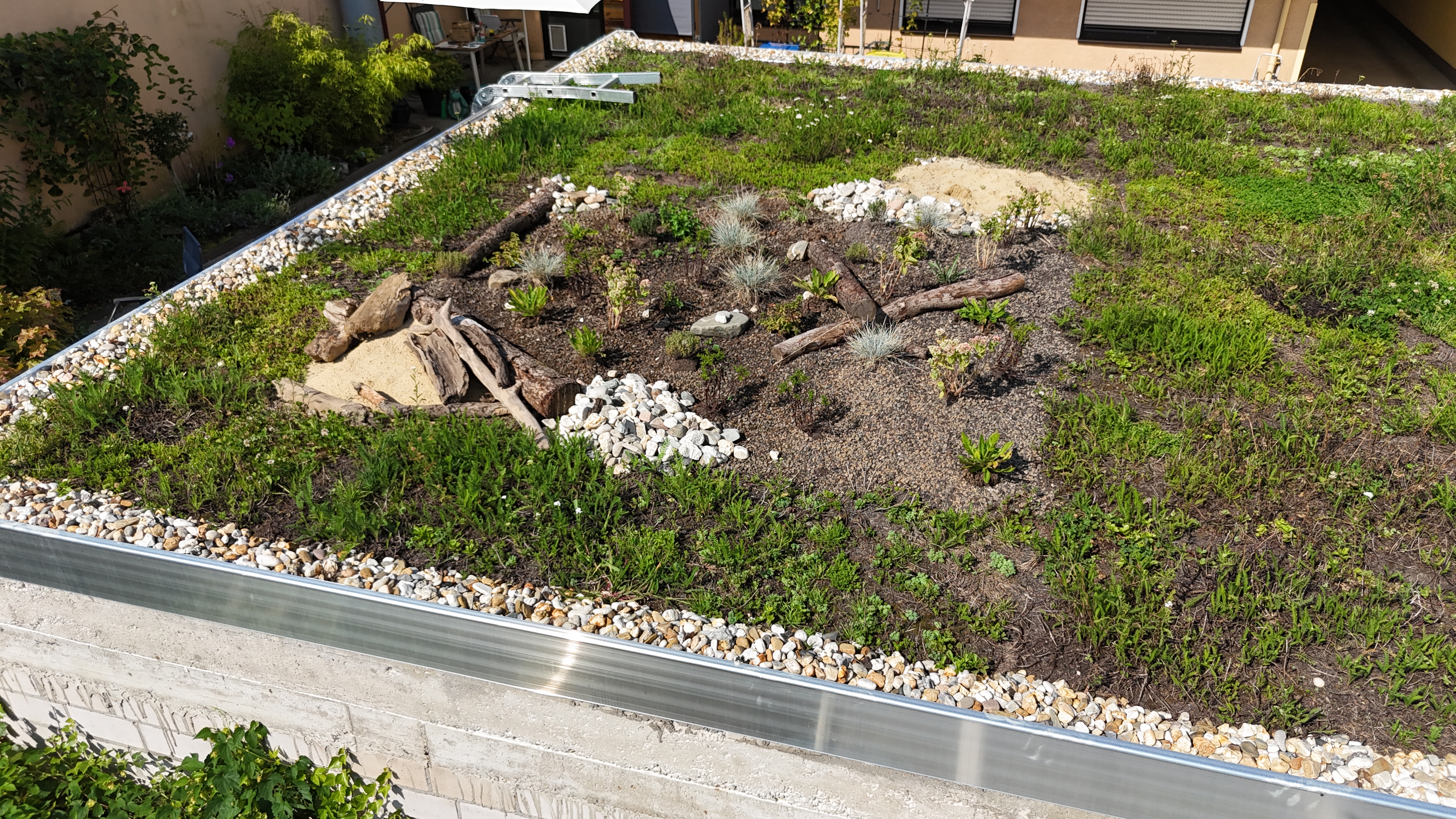 Biodiversitaetspaket zur Dachbegruenung