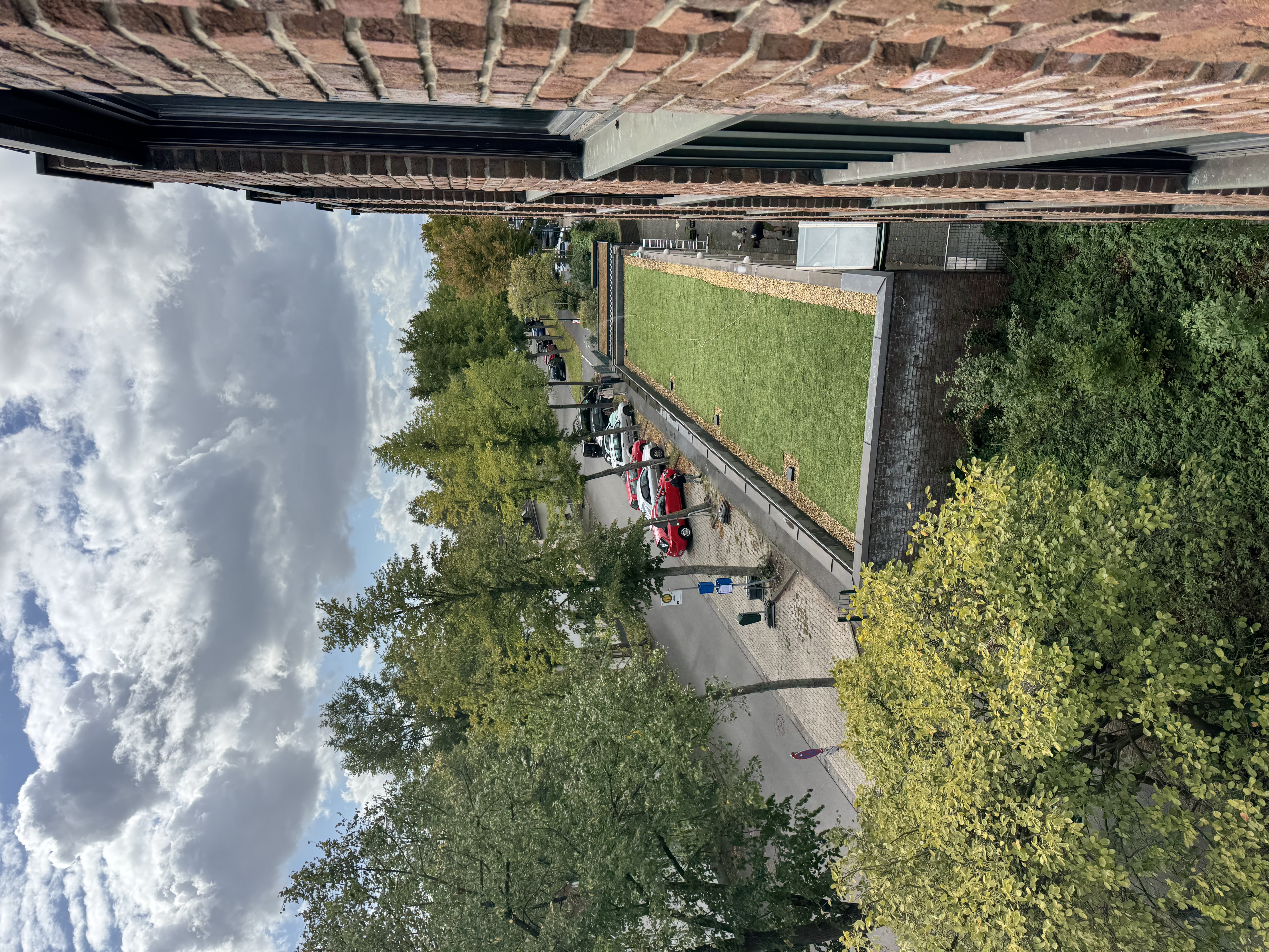 Dachbegrünung eines Flachdachs 100qm