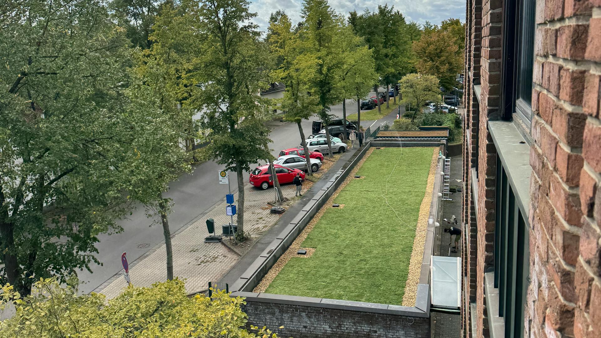 Dachbegrünung eines Flachdachs 100qm