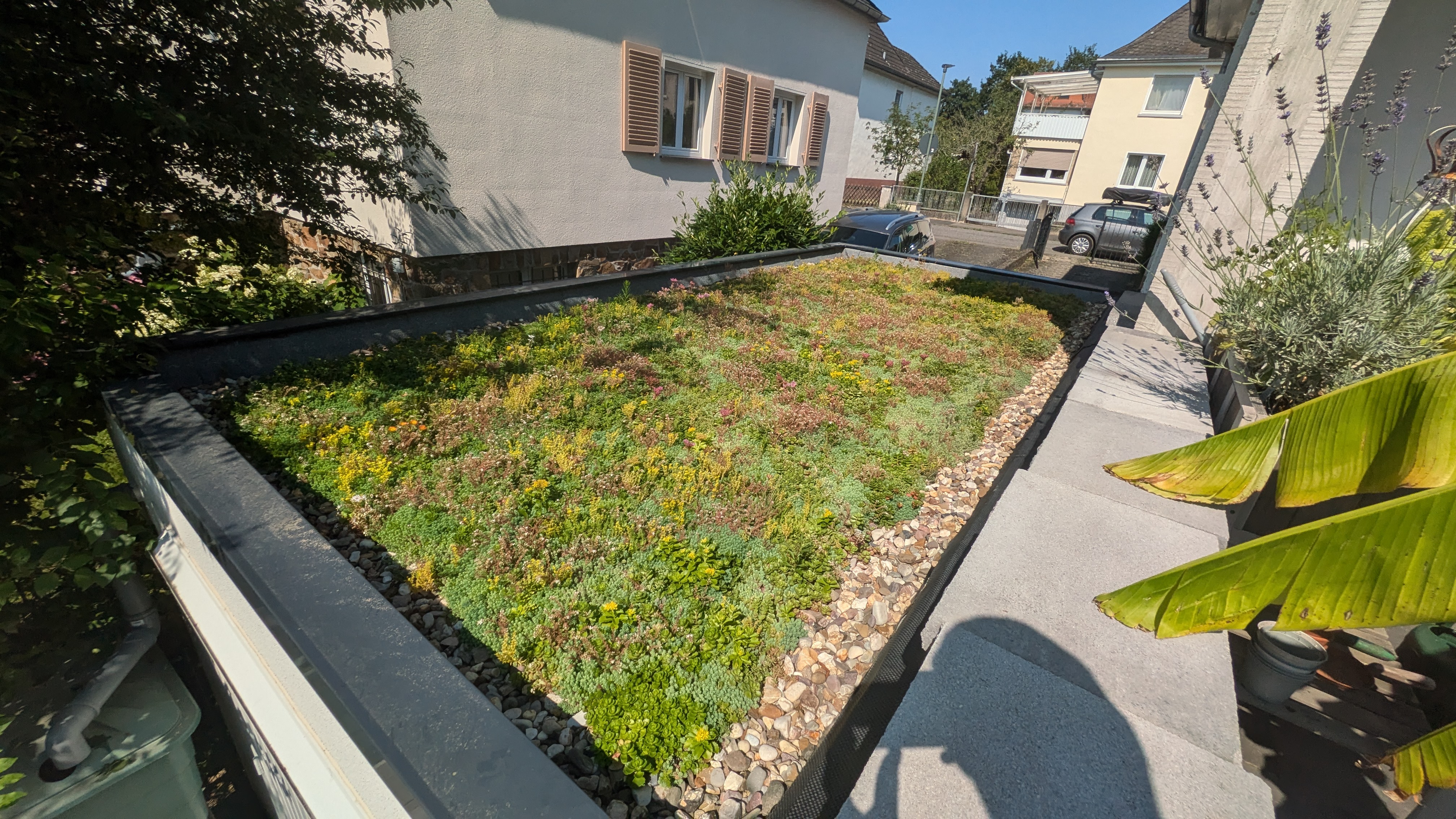 Dachbegruenung mit DIY-Box 18qm