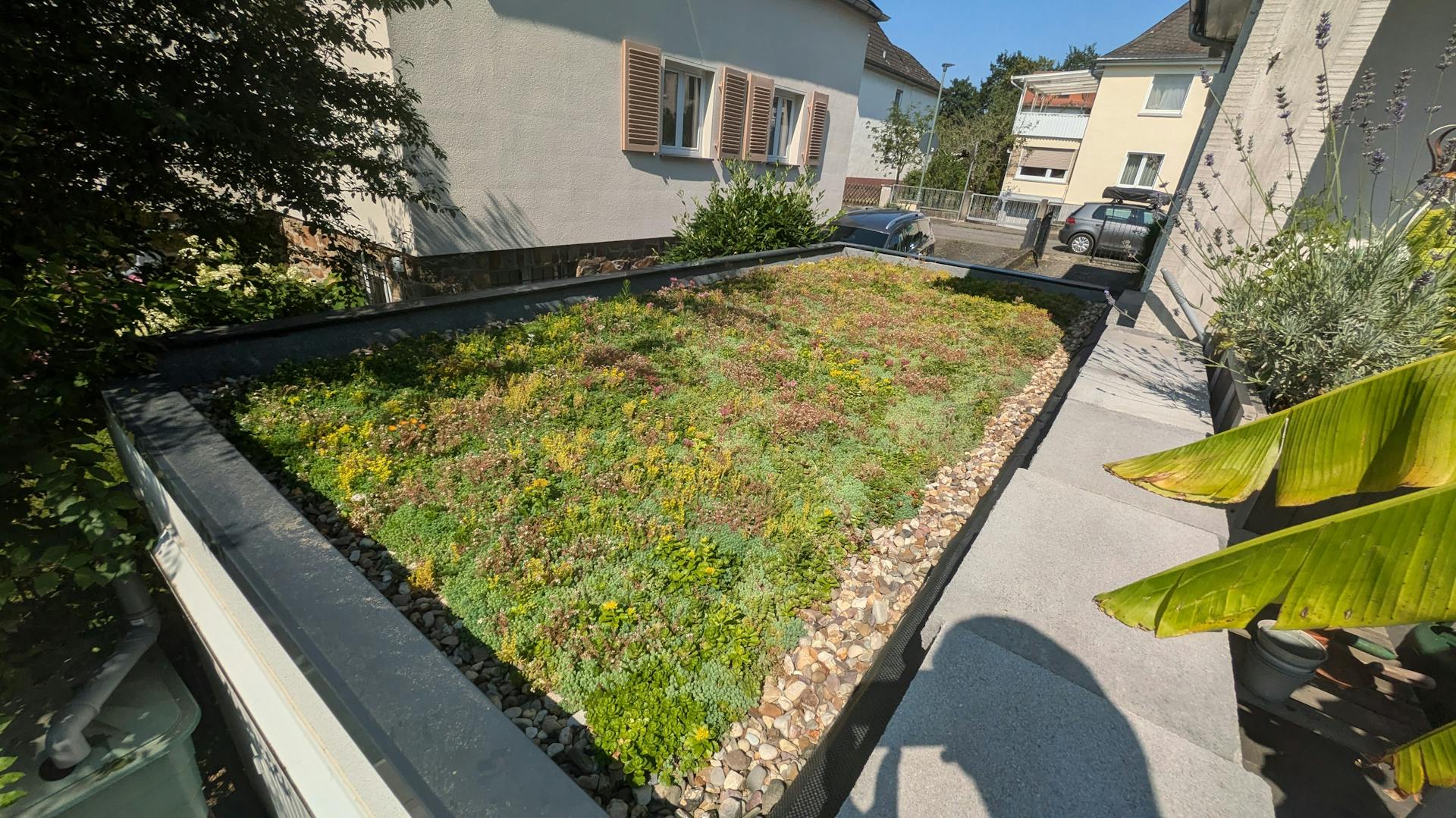 Dachbegruenung mit DIY-Box 18qm