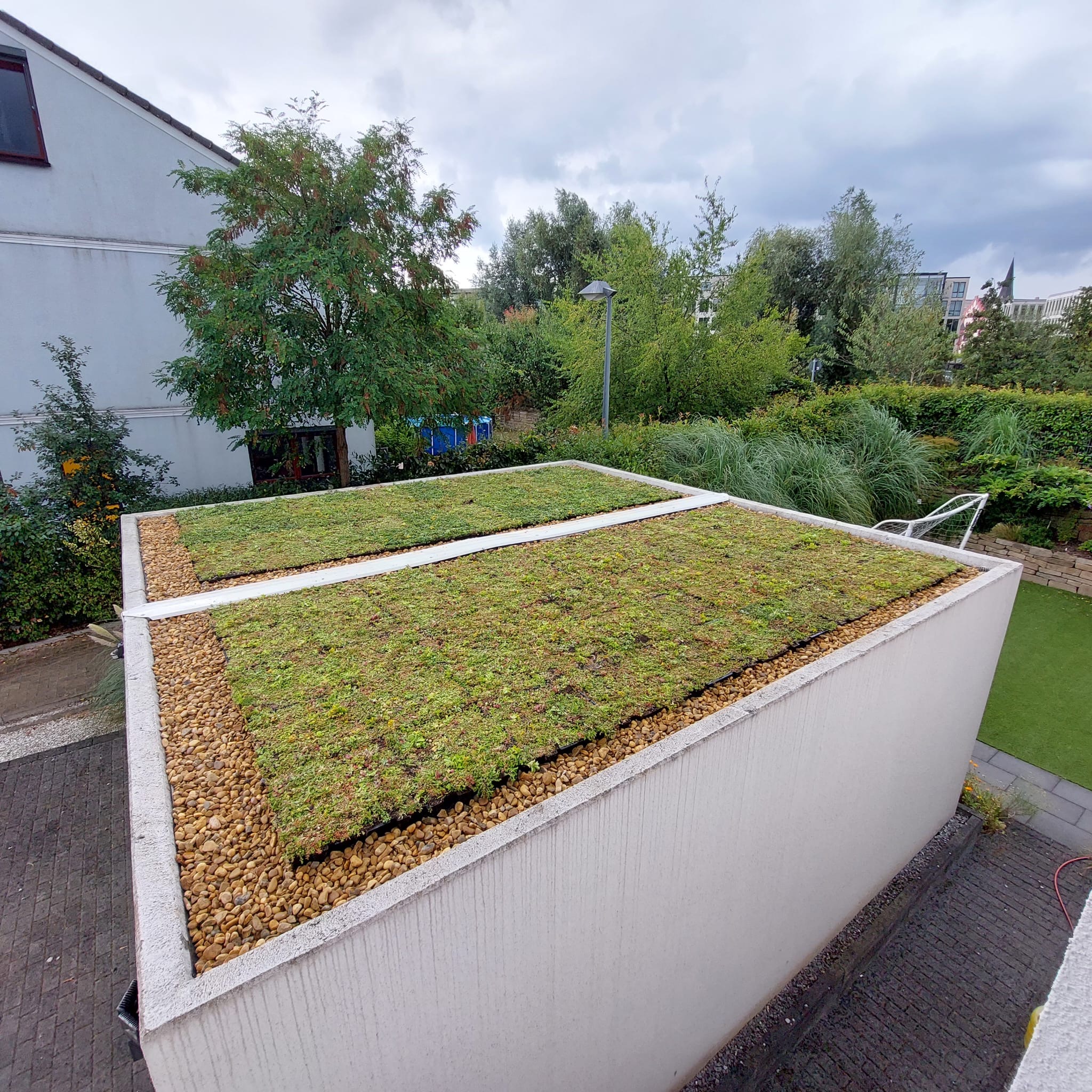 Dachbegruenung eines Flachdachs 36qm