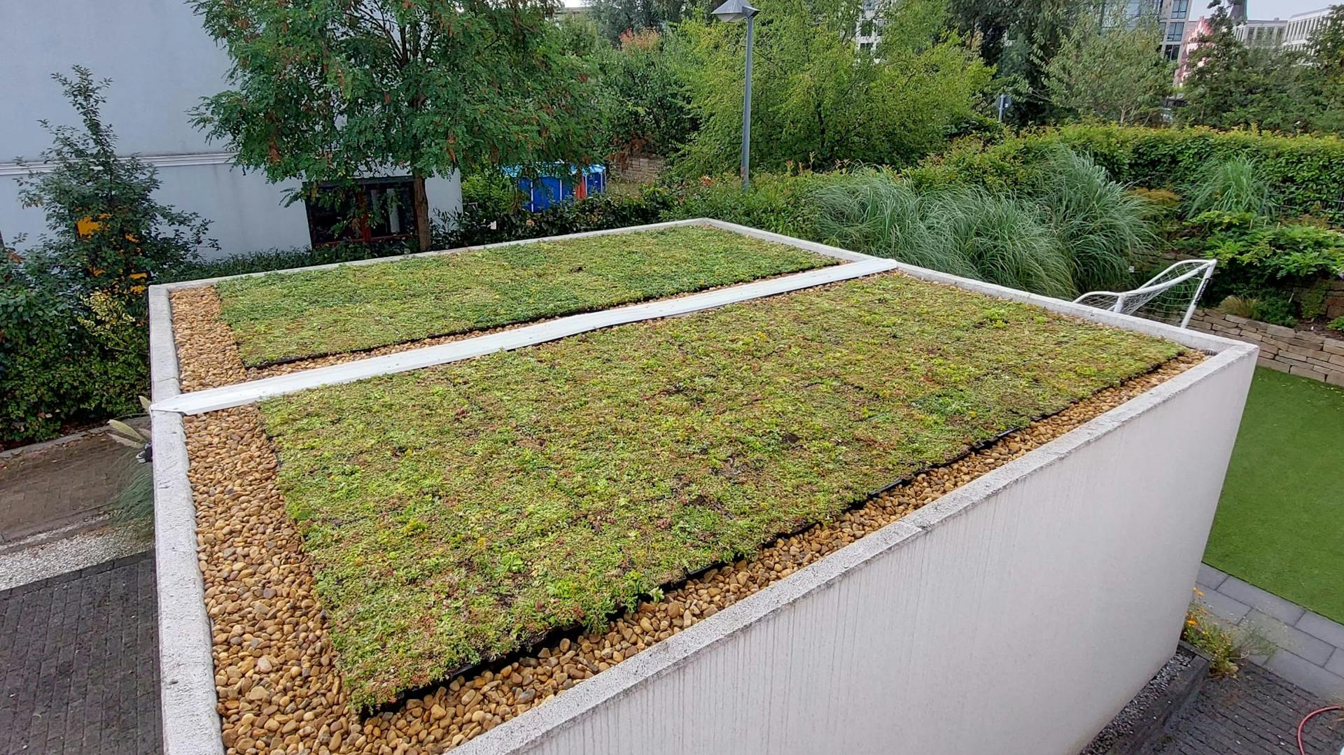 Dachbegruenung eines Flachdachs 36qm