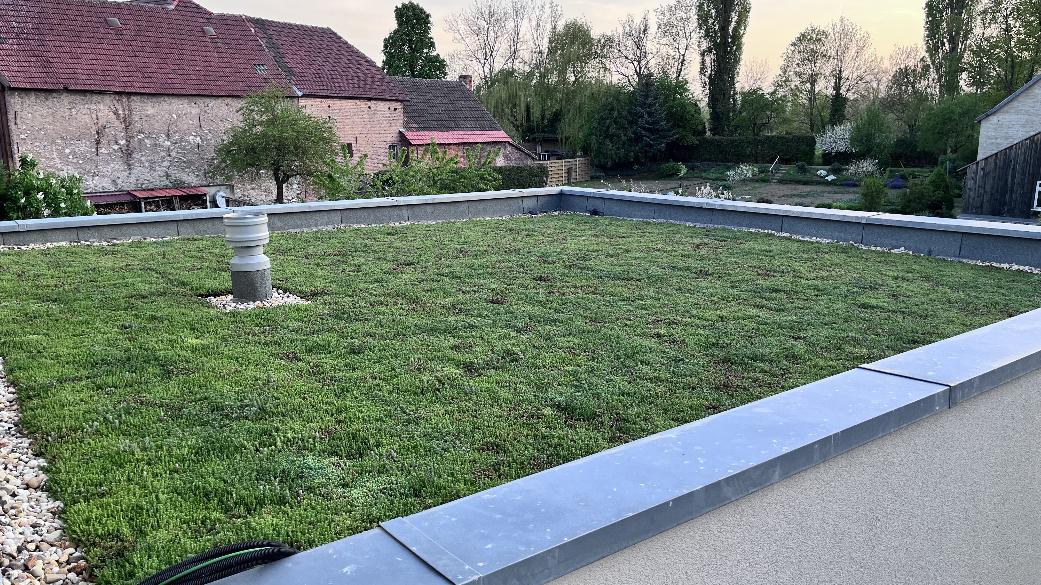 Dachbegrünung eines Flachdachs 50 qm