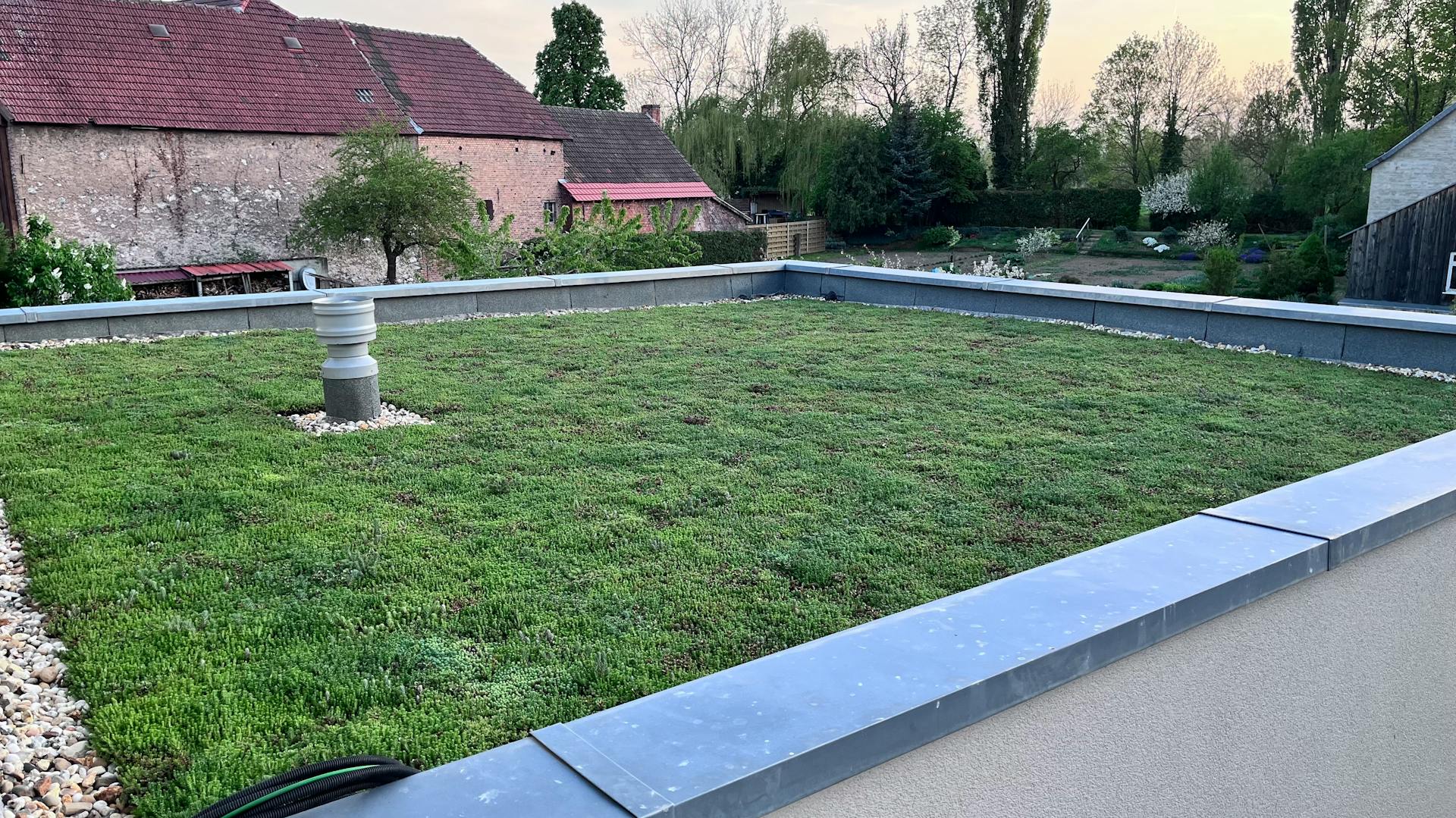 Dachbegrünung eines Flachdachs 50 qm