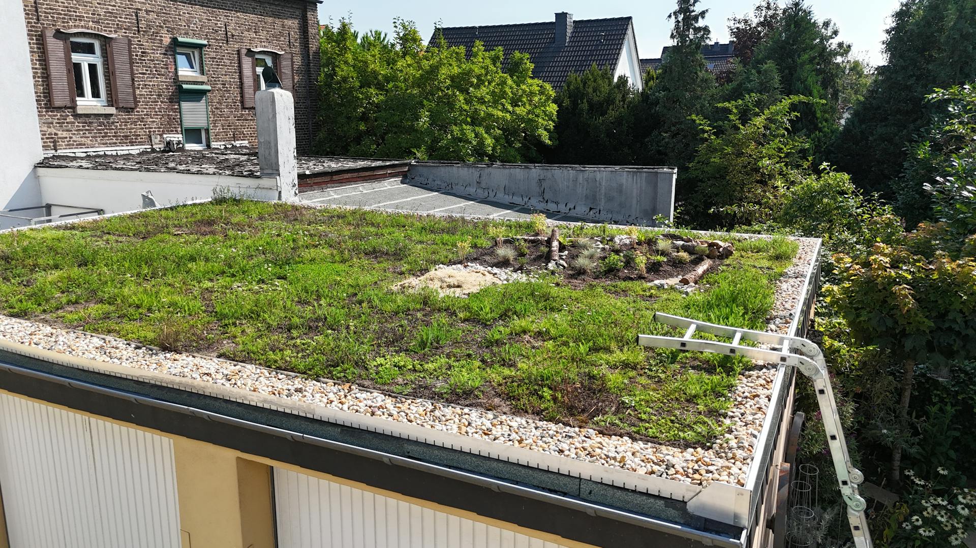 Dachbegruenung mit Kraeuter-Sedum 55qm