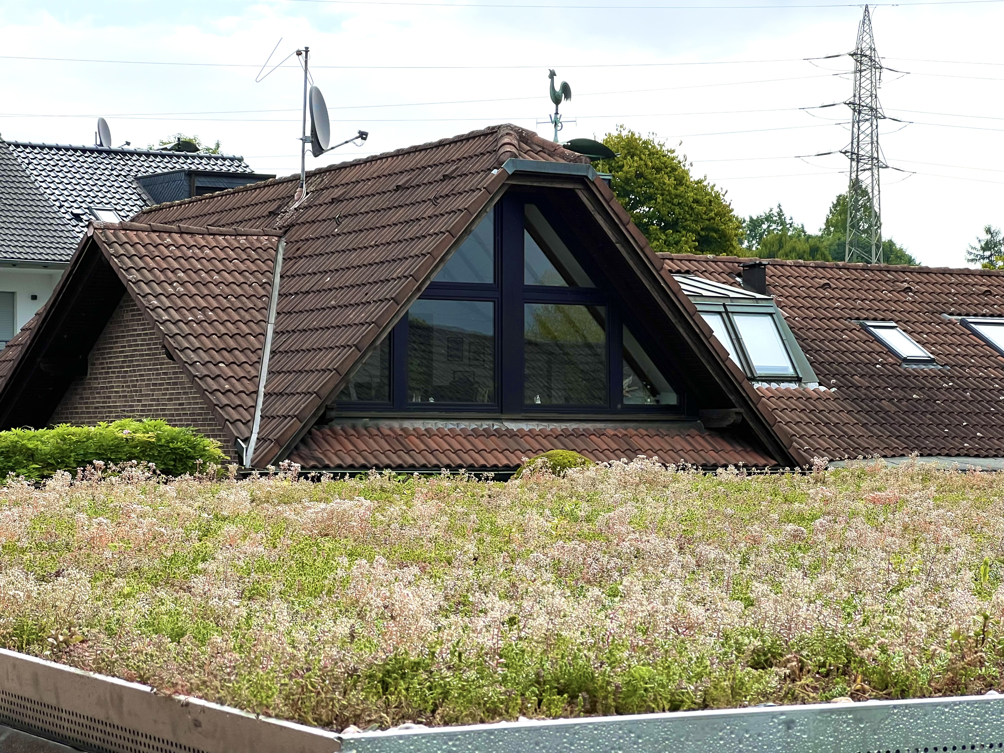 Dachbegruenung mit DIY Box 34qm