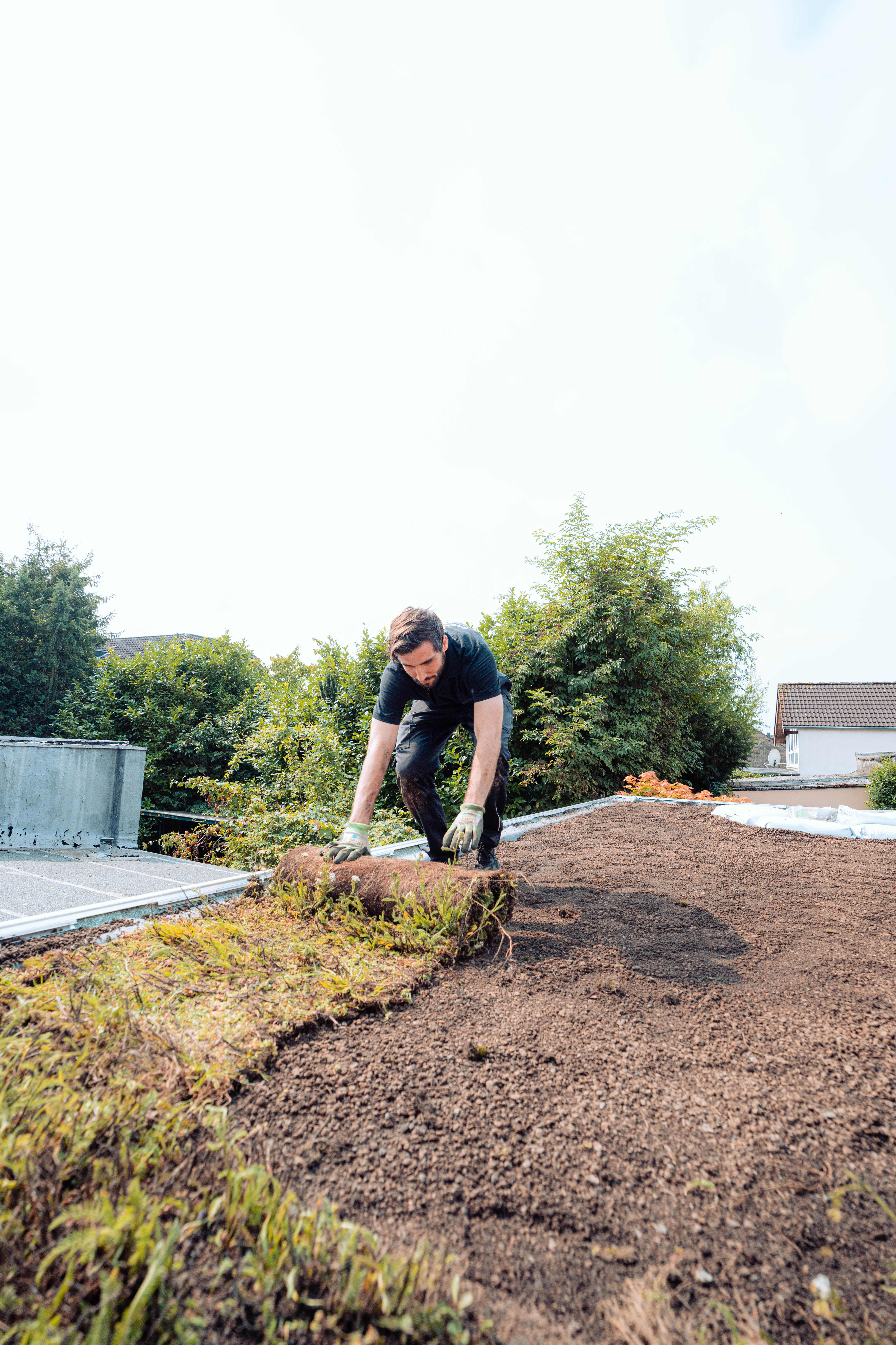 Installation von Vegetationsmatten zur Dachbegruenung
